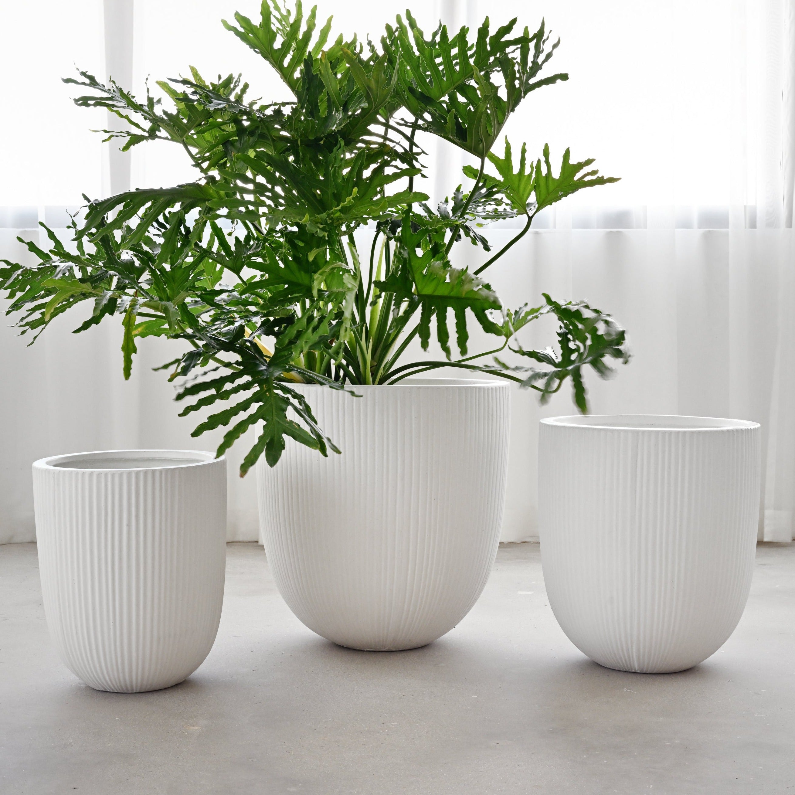 Vinh Concrete Pot - White – Island Living