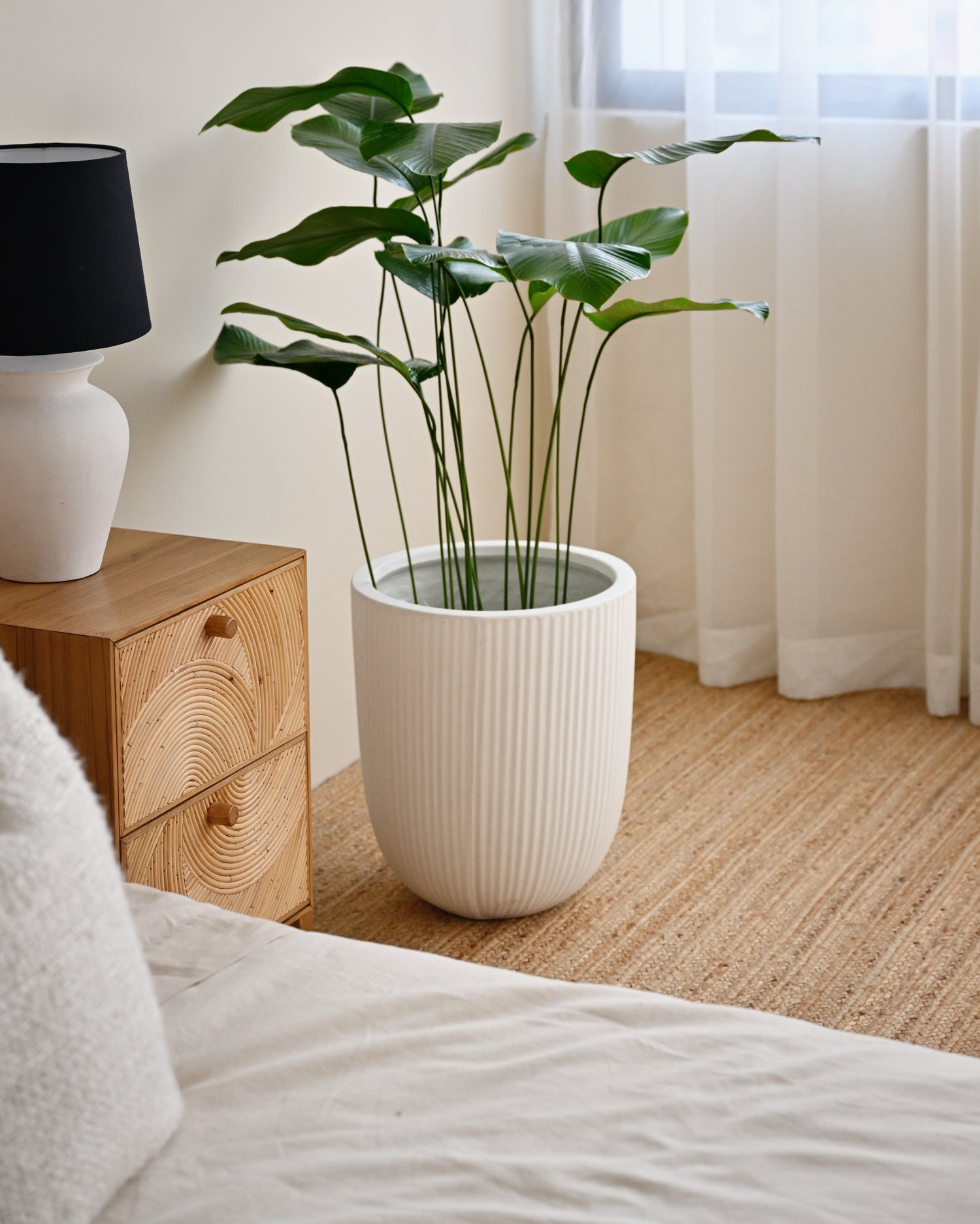 Vinh Concrete Pot - White