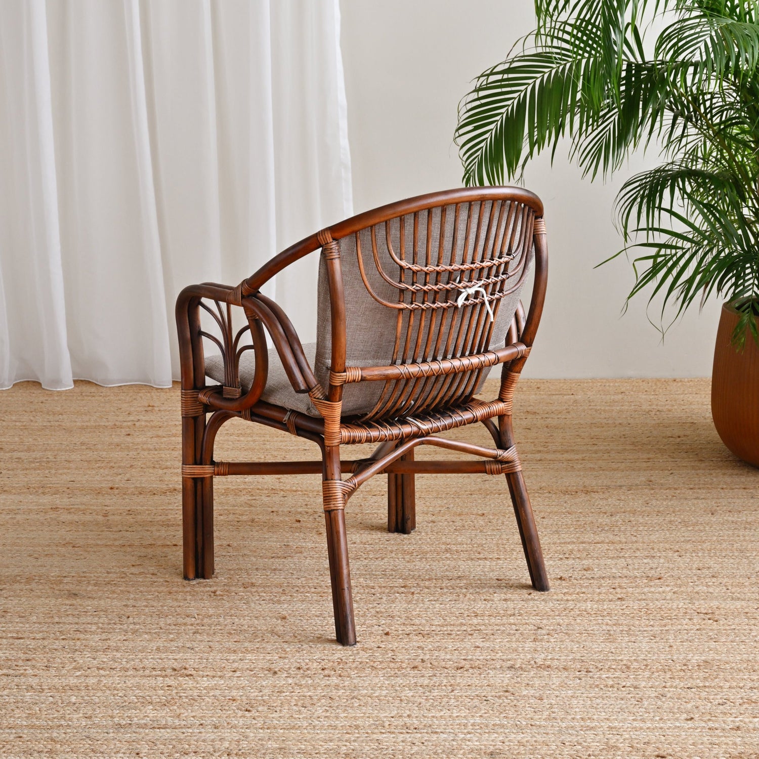 Del Plata Rattan Arm Chair 4