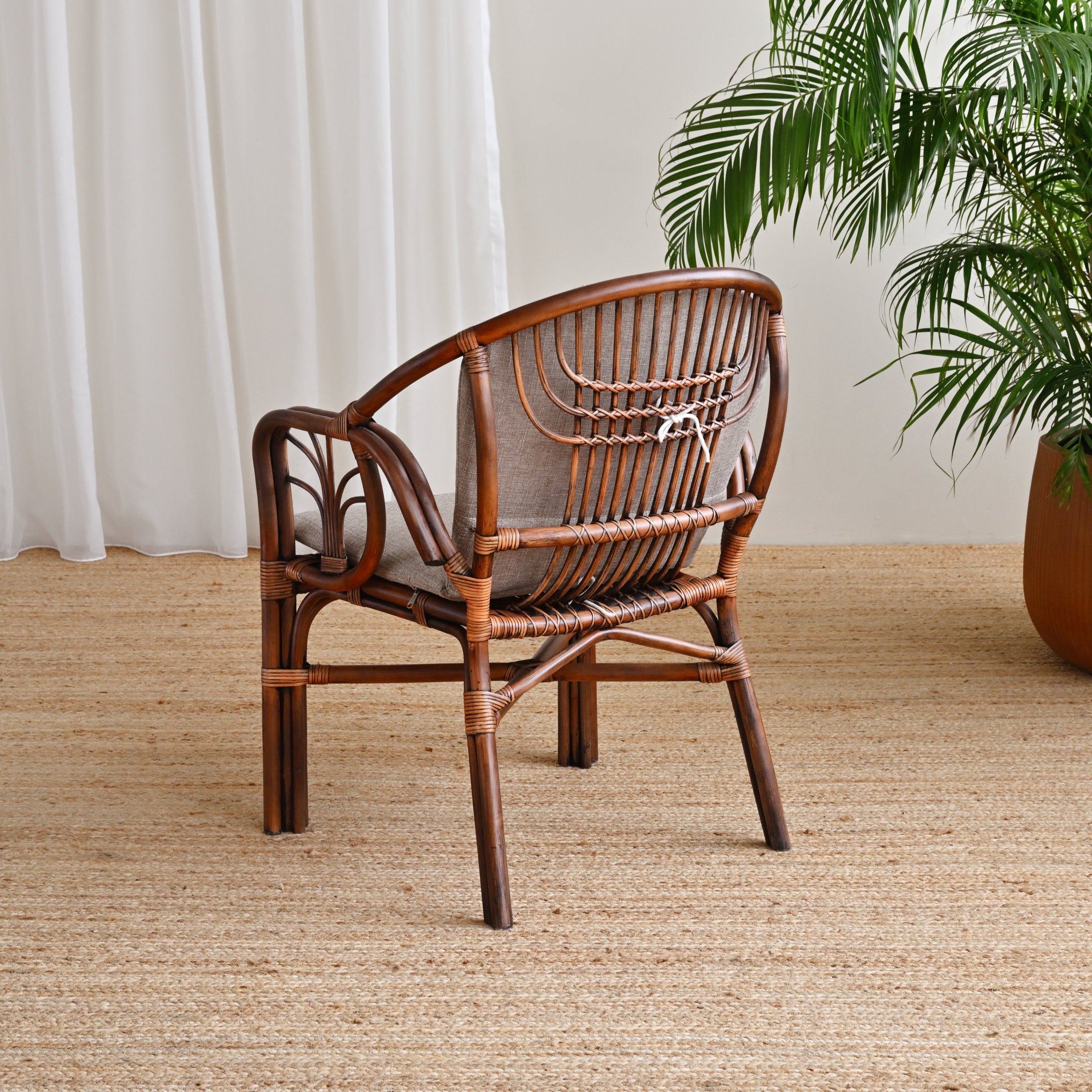 Del Plata Rattan Arm Chair 4