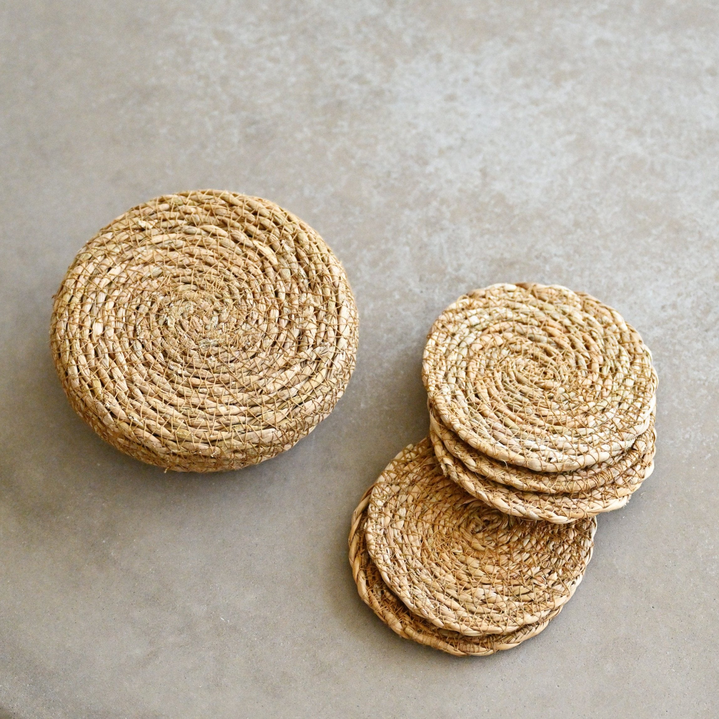 Typha Coasters WarehouseSale2024_3