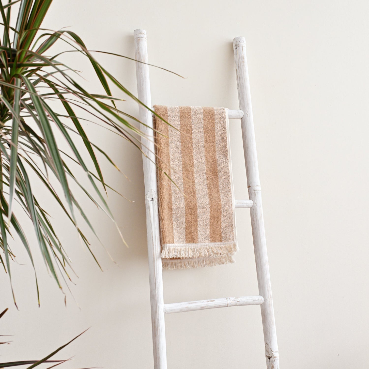 White Washed Bamboo Ladder 1